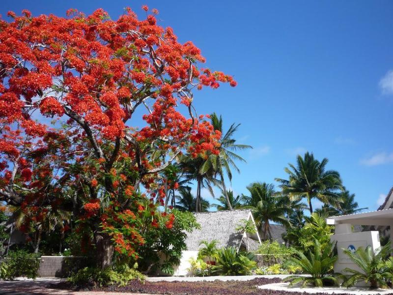 Little Polynesian Resort Rarotonga Exterior photo